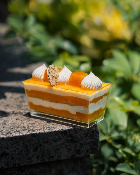 Mango Tiramisu